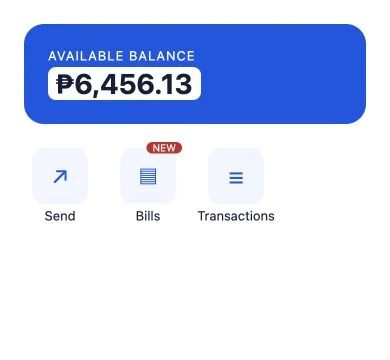 Pitaka mock wallet home showing the available balance and service shortcuts